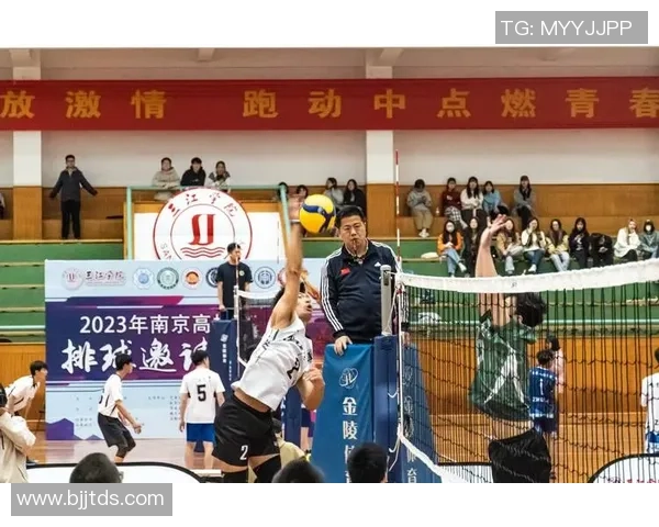 上海排球队的奋斗与荣耀：一段不平凡的排球纪实之旅